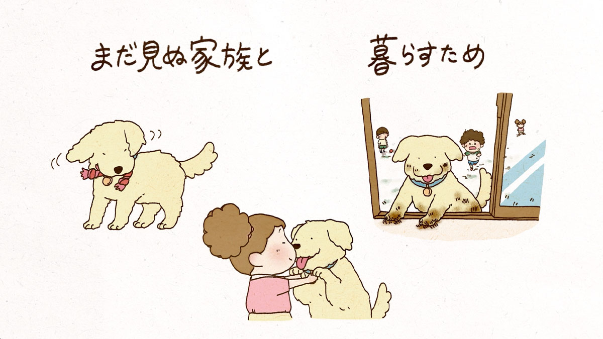 ホームトレードセンター | 制作実績 | 株式会社 宣伝